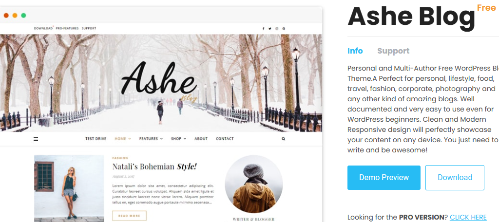 Ashe is one of the best free themes to build a blog with in WordPress